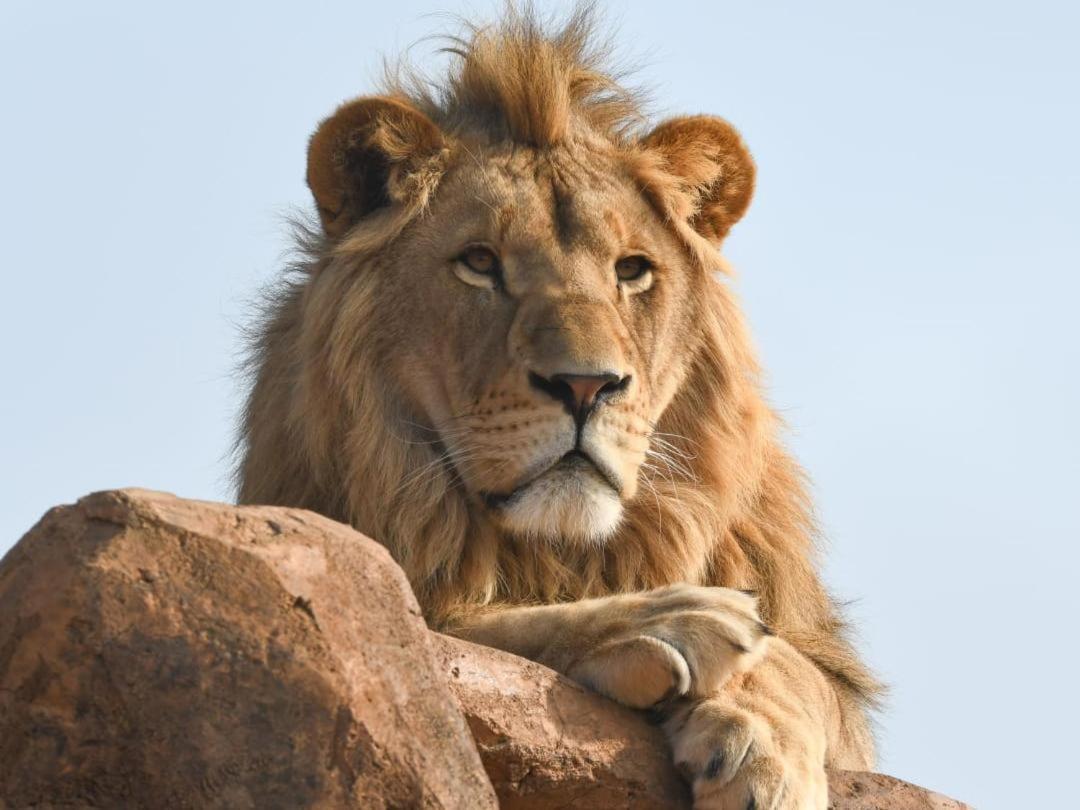 Lions View Accommodation Mbombela Exterior foto